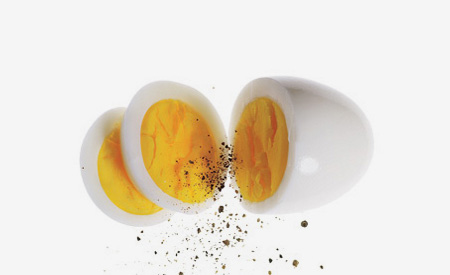 EggSolutions Vanderpol's Retail