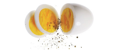 EggSolutions Vanderpol's